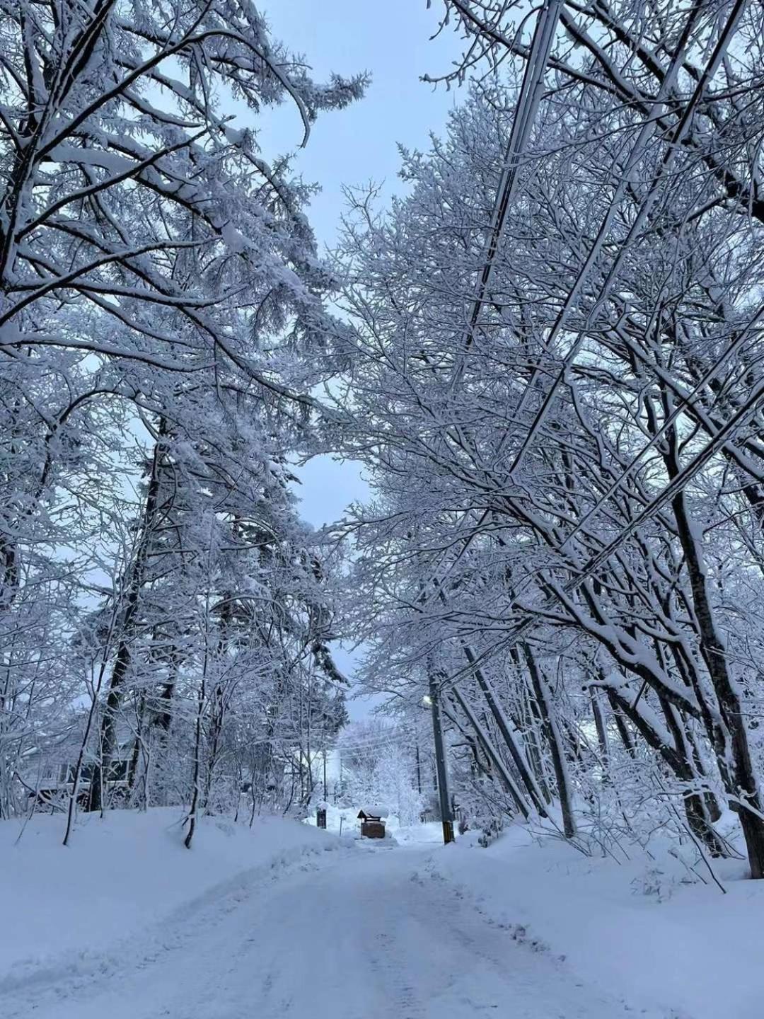 Natural Hot Spring Hakuba Symphony Exterior foto